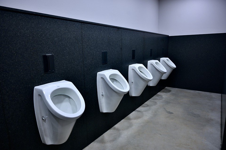 toilettes wc
